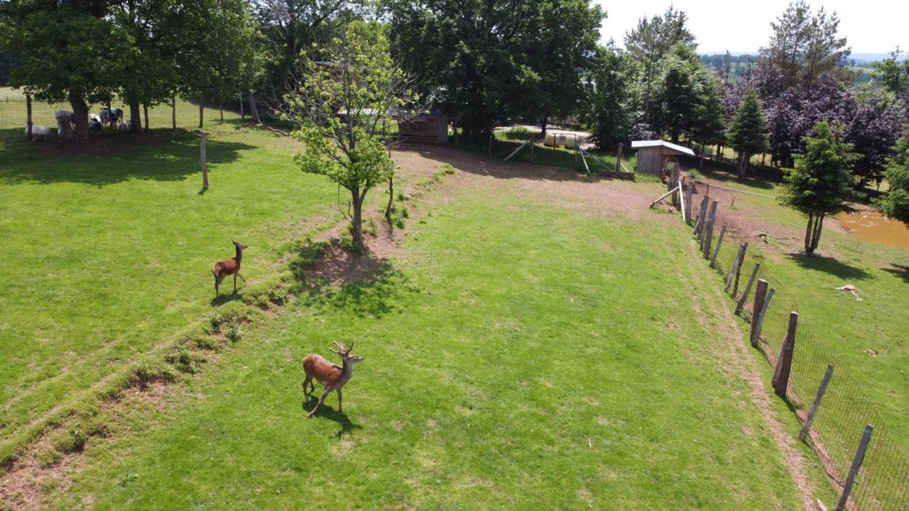 Le Gagnage 31 Pers- Malmedy, Rustique, Vue, Wellness Villa Exterior foto